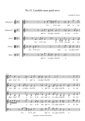 Candida man qual neve