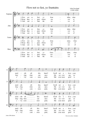 Flow not so fast ye fountains