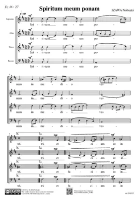 Spiritum meum ponam