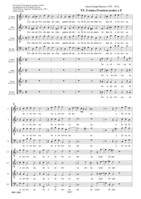 Domine Dominus noster