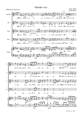 Intende voci
