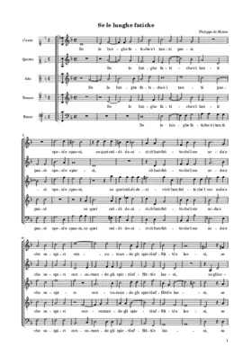 Se le lunghe fatiche