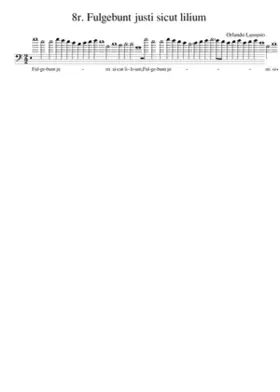 8r. Fulgebunt justi sicut lilium