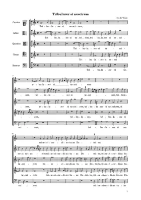 Tribularer si nescirem