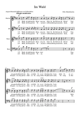 Im Wald Op. 100, No. 4