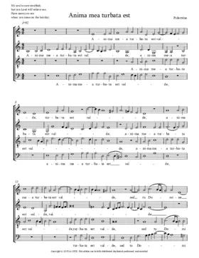 Anima mea turbata