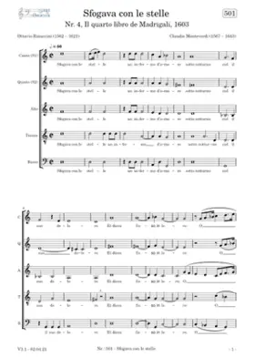 Sfogava con le stelle