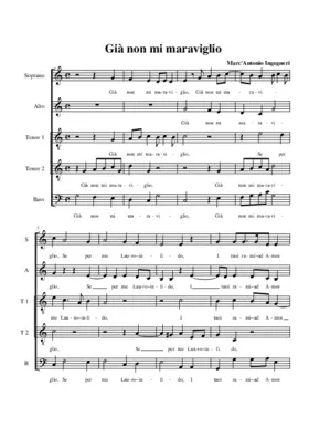 Già non mi maraviglio