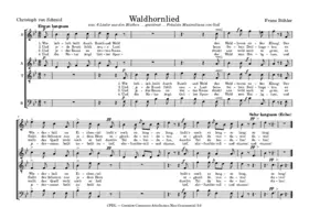 Waldhornlied