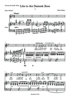 Like to the Damask Rose