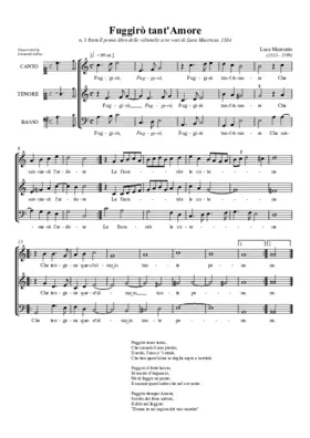 Fuggirò tanto Amore