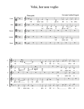 Volsi, hor non voglio