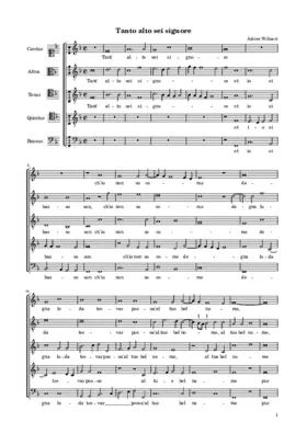 Tanto alto sei signore