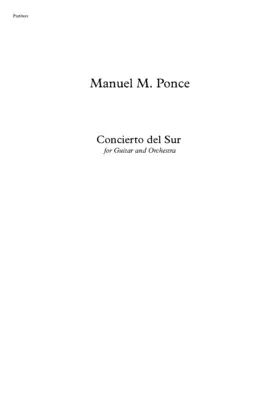 Concierto del sur