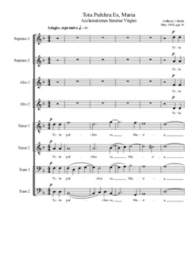 Tota pulchra es, Maria