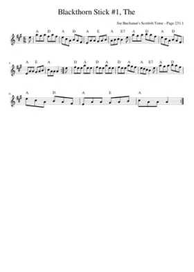 The Blackthorn Stick