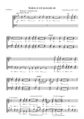 Sedem si rož porezala mi