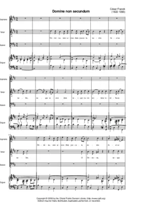 Domine, non secundum