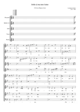 Ardo sì ma non t'amo