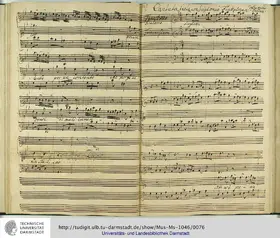 Non v'è pena ne l'amore