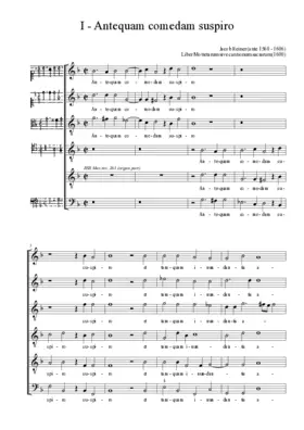 Antequam comedam suspiro