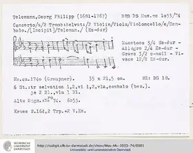 Concerto for 2 Trombe selvatiche and 2 Violins