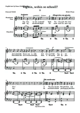 Vöglein, wohin so schnell?