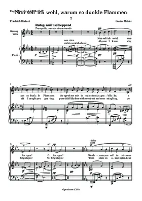 Nun seh’ ich wohl, warum so dunkle Flammen