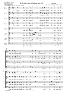 Domine quid multiplicati