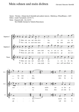 Mein Sehnen und mein Dichten