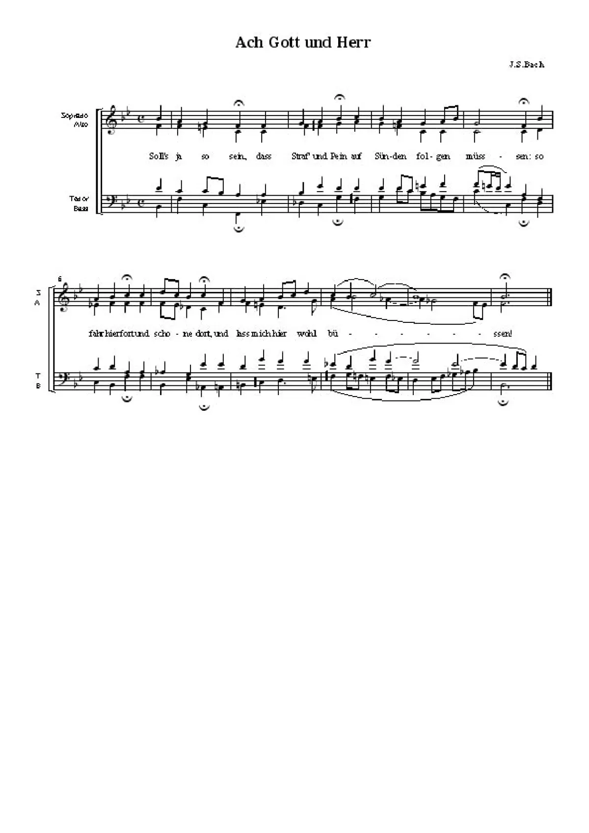 Ich elender Mensch, wer wird mich erlösen, BWV 48 - Page 1