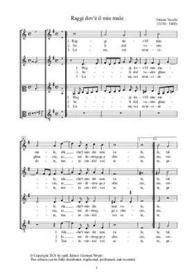 Raggi dov'è il mio male