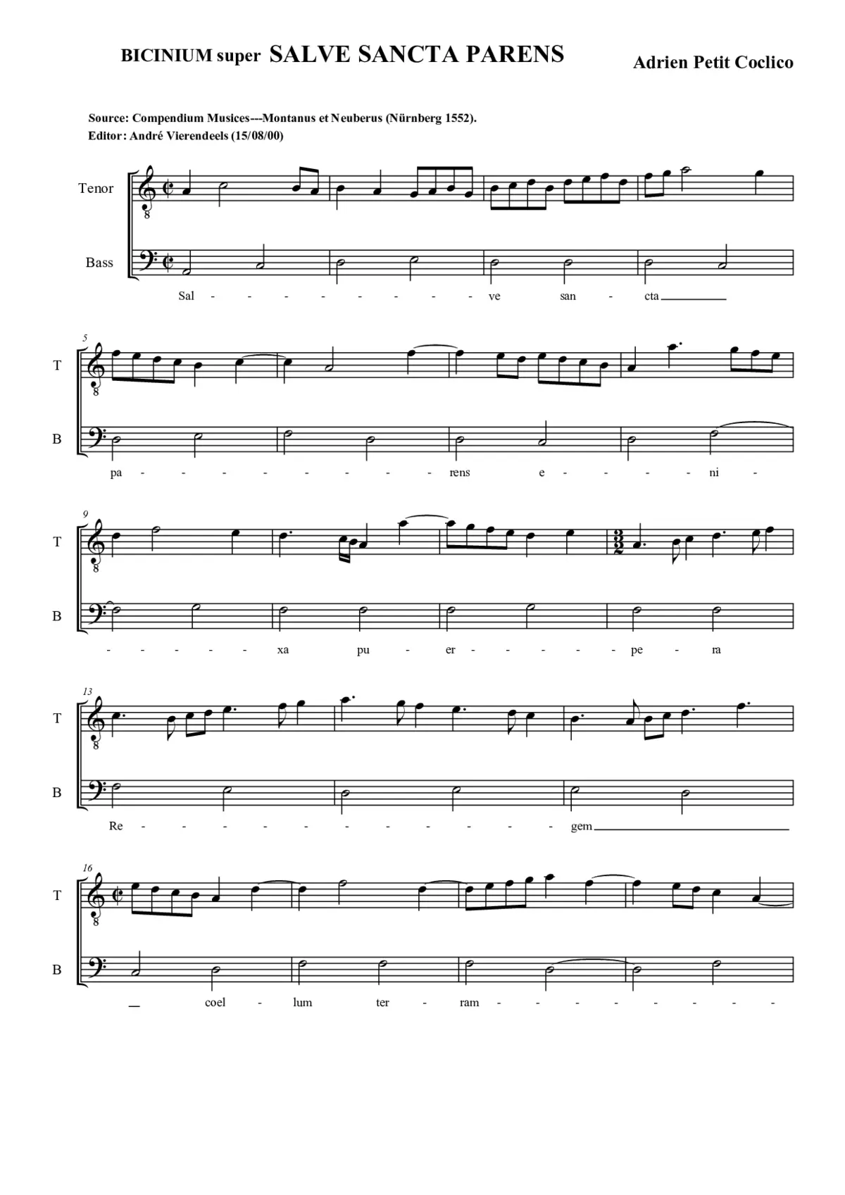 Bicinium super Salve sancta parens - Page 1