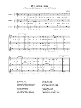 I bei ligustri e rose