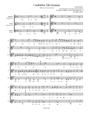 Confitebor Tibi Domine