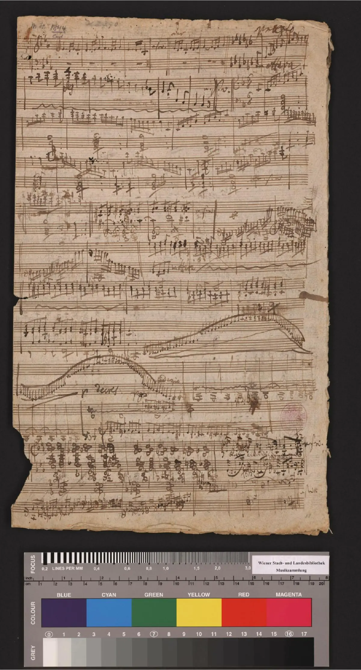 Andante in C major - Page 1