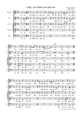 Lady, you think you spite me