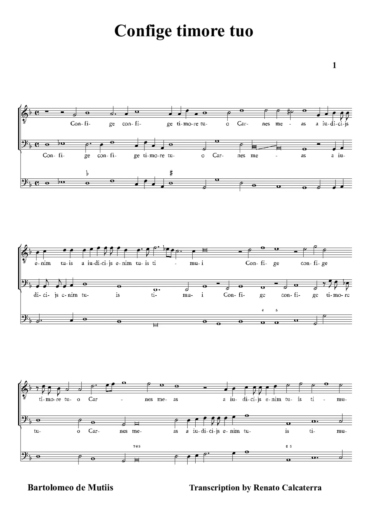Confige timore tuo - Page 1