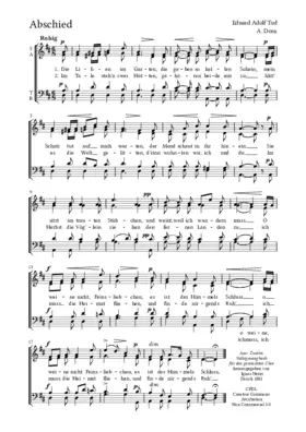 Die Lilien im Garten