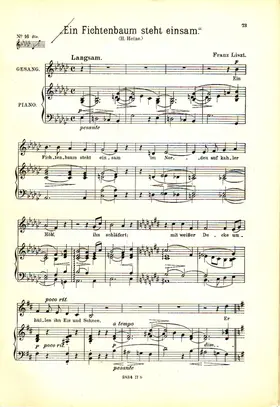 Ein Fichtenbaum steht einsam II