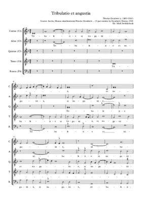 Tribulatio et angustia