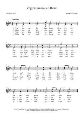 Vöglein im hohen Baum