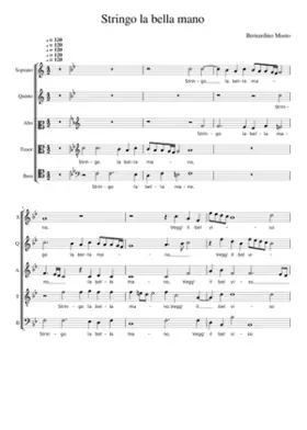 Stringo la bella mano