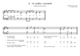 A - 16. neděle v mezidobí