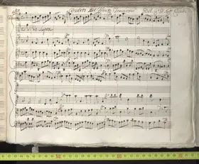 Flute Concerto in G major