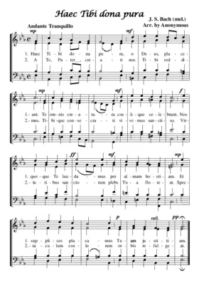 Haec Tibi dona pura, BWV 244.15