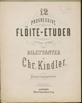 Zwölf progressive Etüden