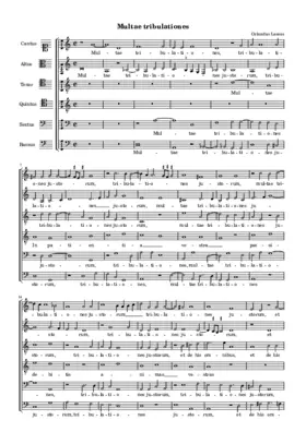 Multae tribulationes justorum