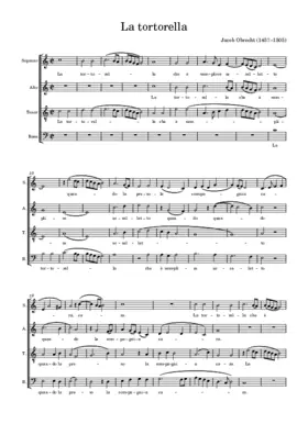 La tortorella è semplice uccelletto