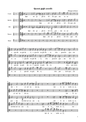 Questi gigli novelli